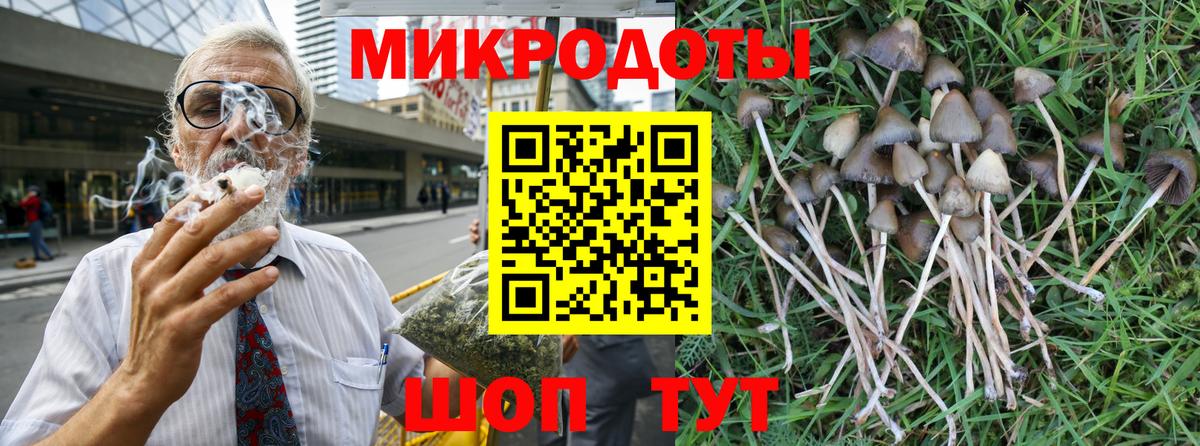 Псилоцибиновые грибы Psilocybine cubensis Клин