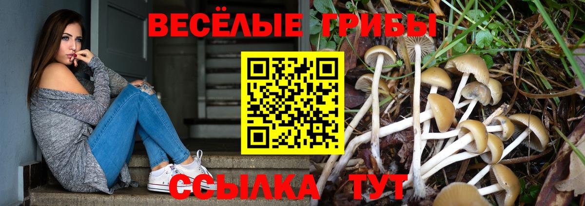 Галлюциногенные грибы прущие грибы  Вход с VPN  Псилоцибиновые грибы прущие грибы  Клин 